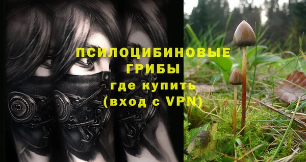 герыч Елабуга